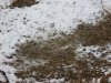 IMG_0727.JPG