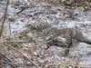 IMG_0698.JPG