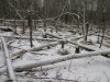 IMG_0764.JPG