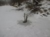 IMG_0814.JPG