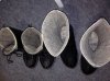 IMG-20161119-WA0013.jpeg