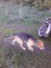 IMG_20160509_195726.jpg
