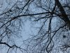 IMG_0681.JPG