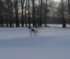 20161204_110753-1.jpg