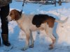DSC02037.JPG