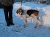 DSC02038.JPG