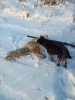 20161113_163801.jpg