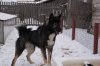 DSC01241.JPG