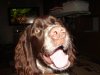 DSC04006.JPG
