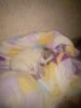 IMG_20161231_000707_1.jpg