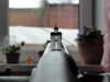 DSC02175.JPG