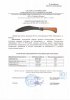 Сканировать10022.JPG