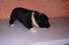 DSC01965.JPG