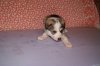 DSC01958.JPG