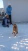 20170129_151829.jpg