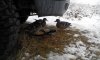 IMG-20161007-WA0008.jpeg