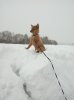 2017-01-14.jpg