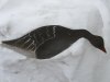 IMG_0049.jpg