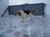 DSC02070.JPG