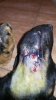 IMG-20170206-WA0004.jpg