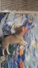 20170214_170300.jpg