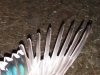 20170219_134108.jpg