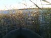 IMG_20140927_080601.jpg