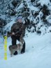 SAM_0364.jpg