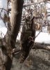 20170301_144930_LLS.jpg