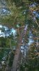 WP_20170305_15_18_42_Pro.jpg