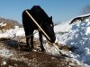 20170305_161756.jpg