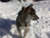 IMG_20170305_134050.jpg