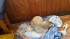20170308_121942.jpg