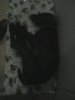 IMG-20170305-WA0001.jpg