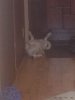 IMG-20170309-WA0029.jpg