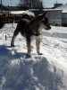 IMG_20170305_134940.jpg
