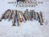IMG-20170309-WA0012.jpg