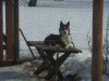 DSCN8218.JPG