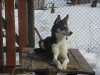 DSCN8219.JPG