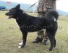 17043_Sobol.jpg