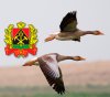 кемерово.jpg