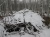 IMG_0766.JPG