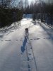 20170319_094738.jpg