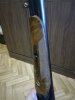 IMG_20170324_174649.jpg