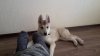 20170324_161711.jpg