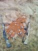 IMG_20160424_093323.jpg