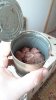 IMG-20170405-WA0000.jpeg