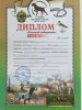 диплом2.jpg