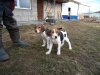 DSC02220.JPG