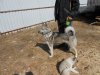 DSCN2577.JPG